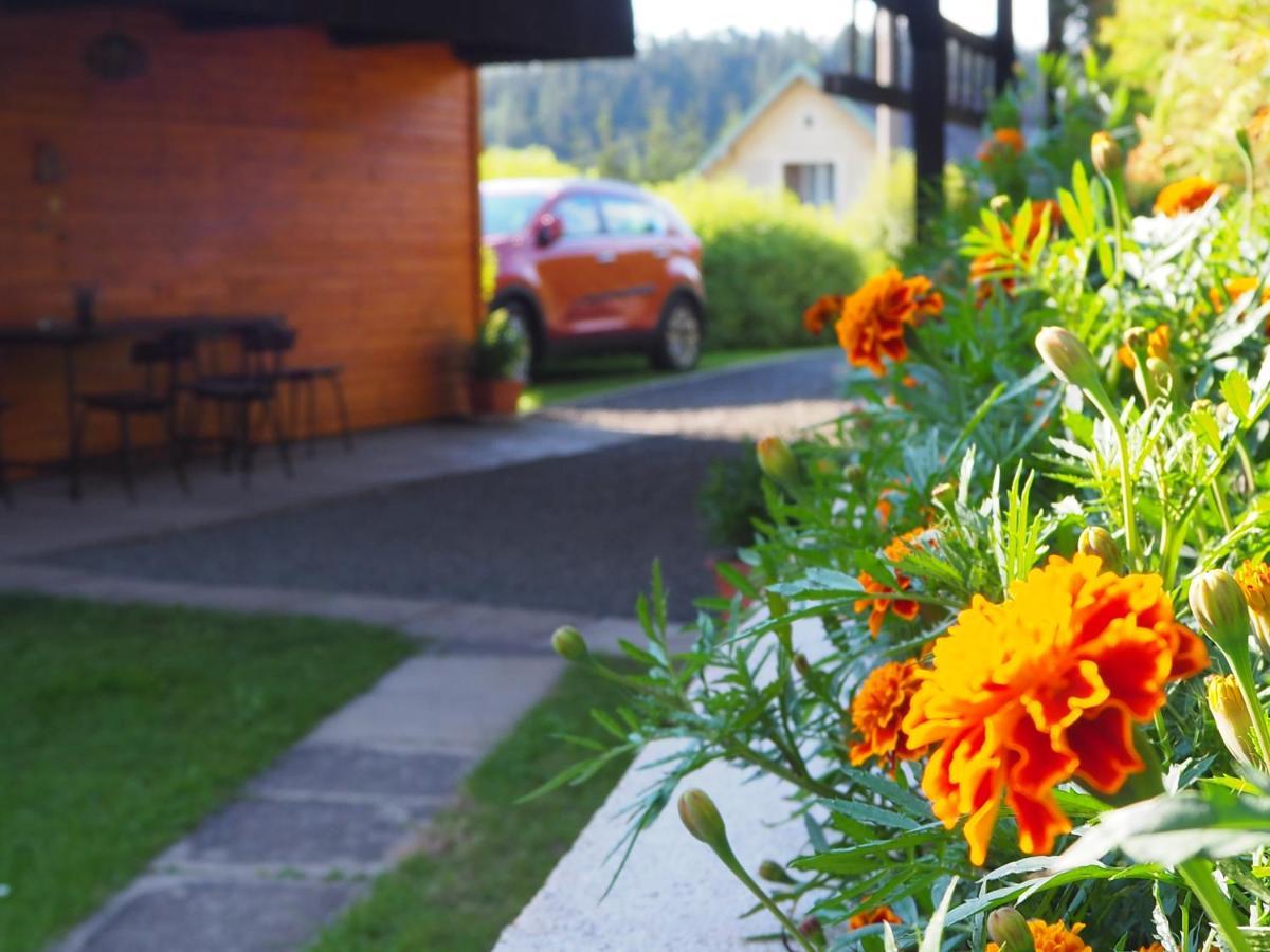 Chata Eliska Příkrý Exterior foto